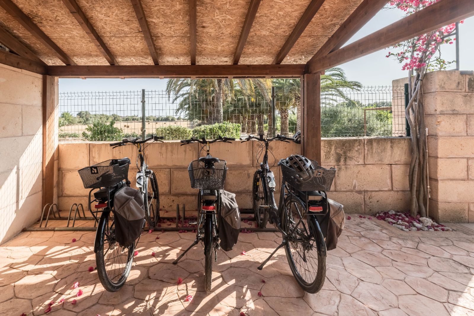 Finca Hotel Es Torrent · Services & Facilities